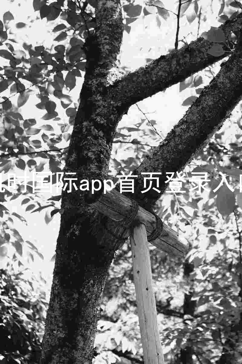 凯时国际app首页登录入口
